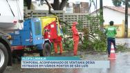  Chuva e vento fortes derrubam muro e árvores em São Luís