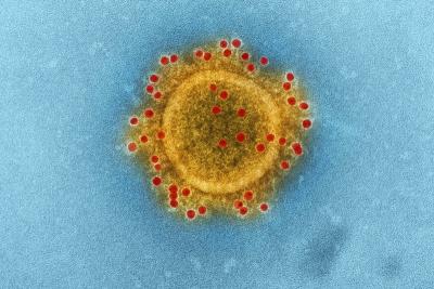 Comissão debaterá panorama da pandemia de Covid-19 no Brasil  
