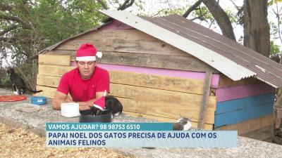  Cuidador de animais na Praça dos Gatos pede doação para animais abandonados
